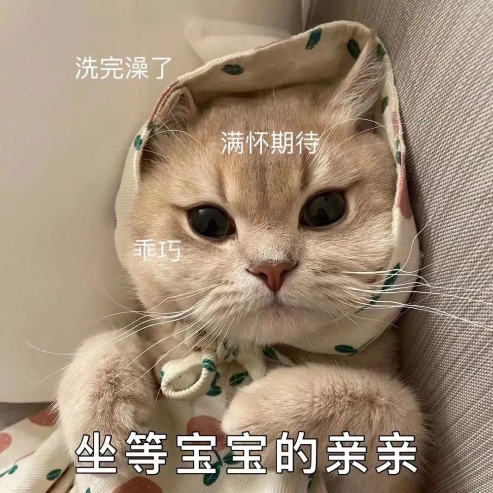 快手赞了别人能看到吗_快手上怎么给人点赞_快手上点赞别人能看到吗