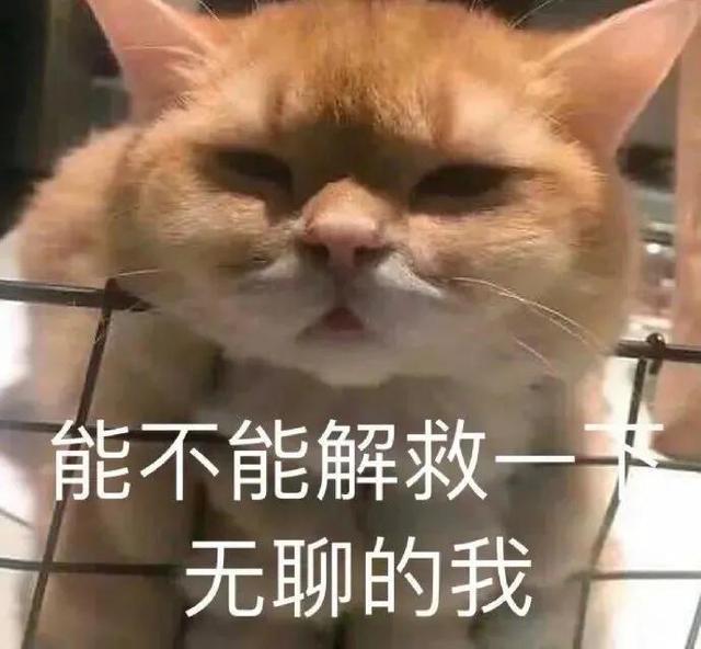 快手上怎么给人点赞_快手赞了别人能看到吗_快手上点赞别人能看到吗