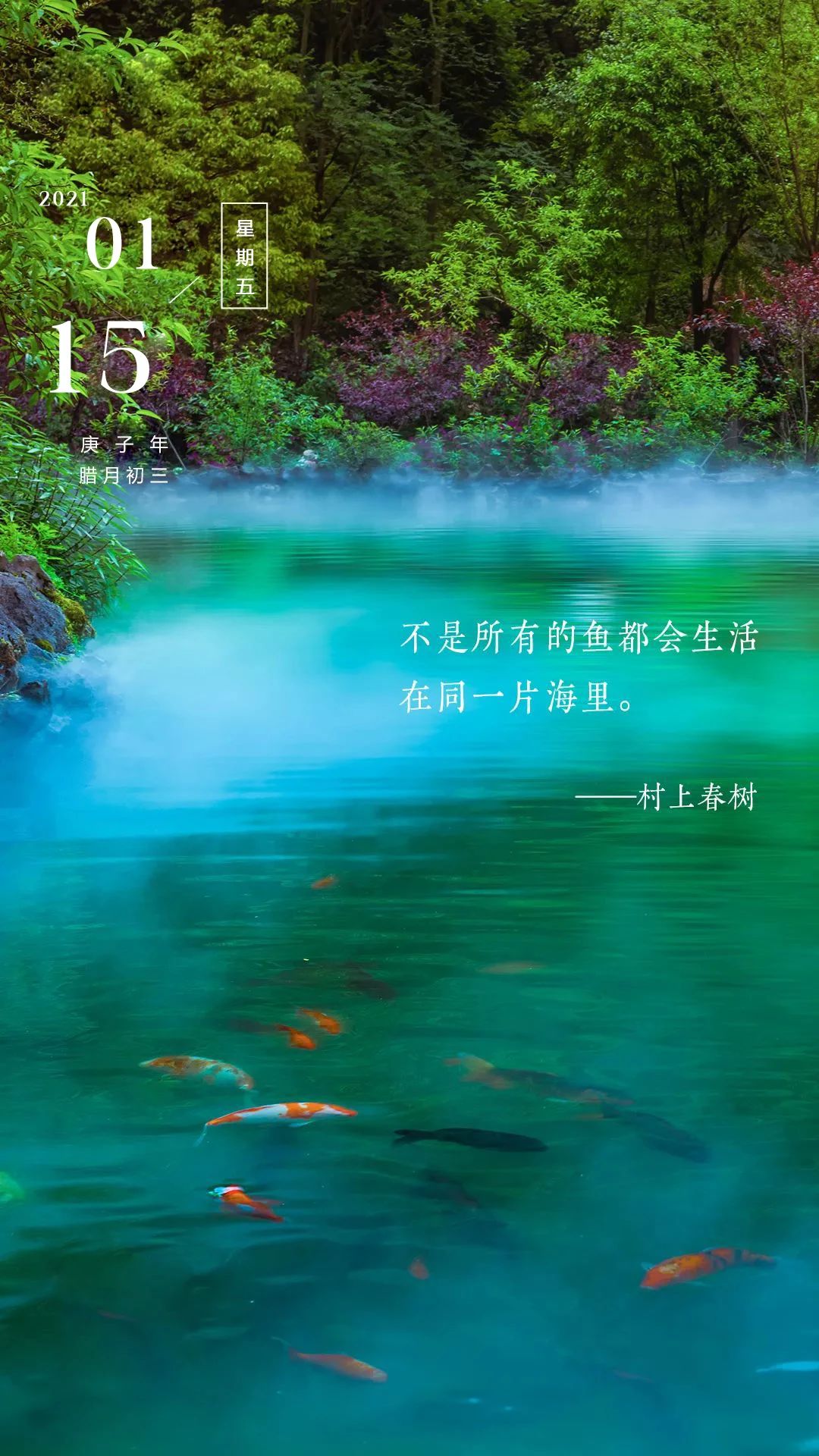 快手里面赞视频怎么删_快手里赞的视频怎么删除_删除快手赞过的视频