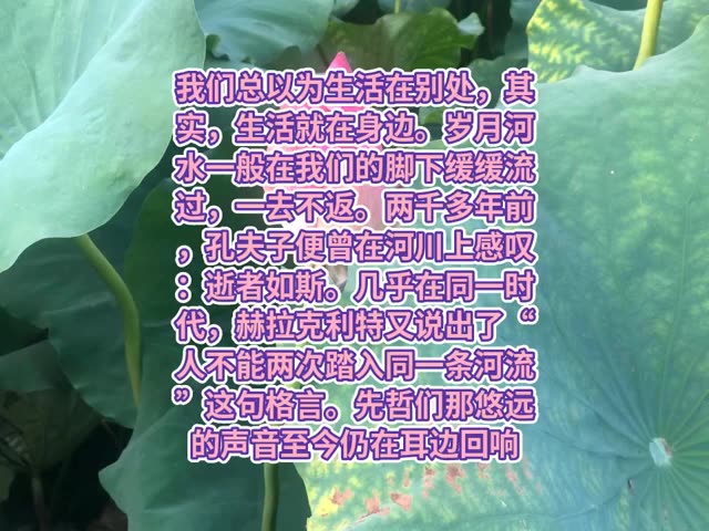 2020快手bgm_快手很火的动图_gif快手热门歌曲