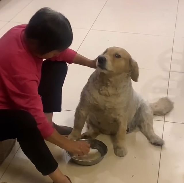 自助下单小助手_小时自助下单平台网站_dy自助下单平台24小时
