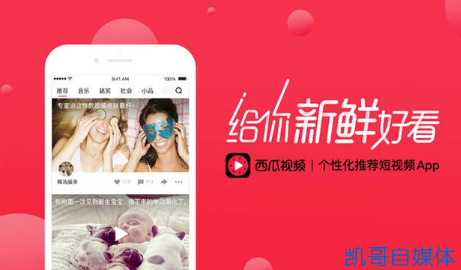快点播放量网站_点播量放网站违法吗_点播量怎么算