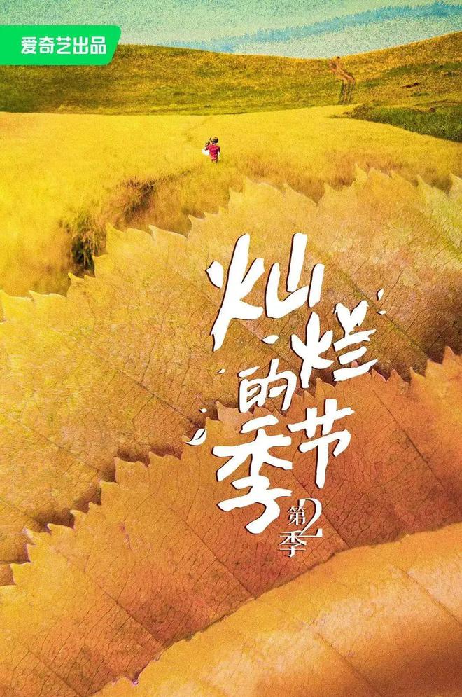 各大网站播放量价格_有播放量就有收益的网站_卖播放量的网站