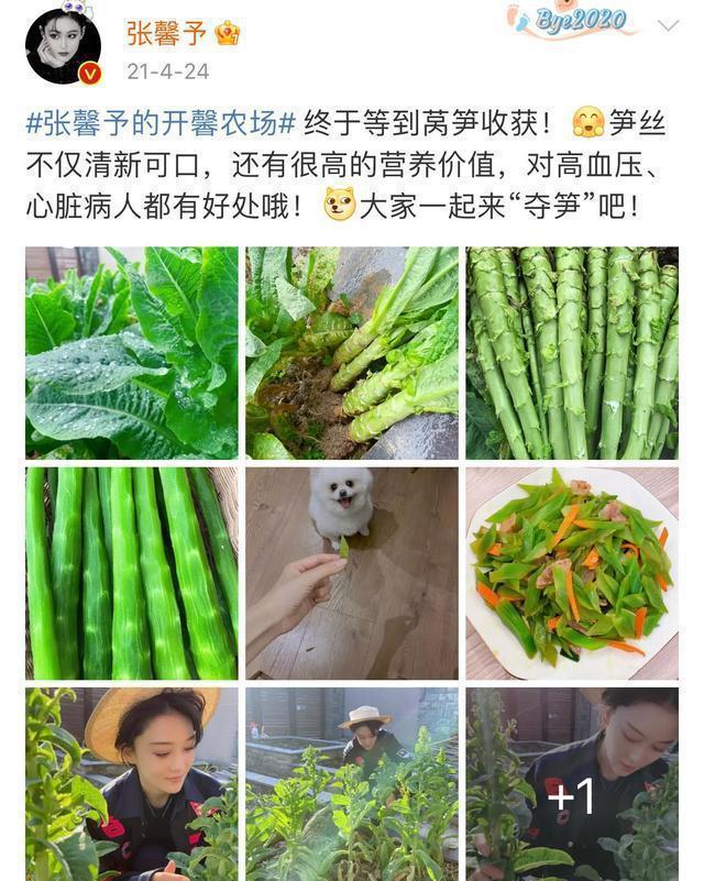 淘宝怎么买快手粉丝_淘宝上快手涨粉是真的吗_丝粉快手淘宝买多少钱