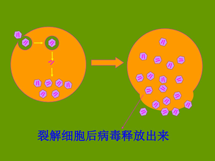 快手掉粉丝是官方在搞鬼吗_粉丝掉快手平台怎么办_快手粉丝平台+永不掉粉