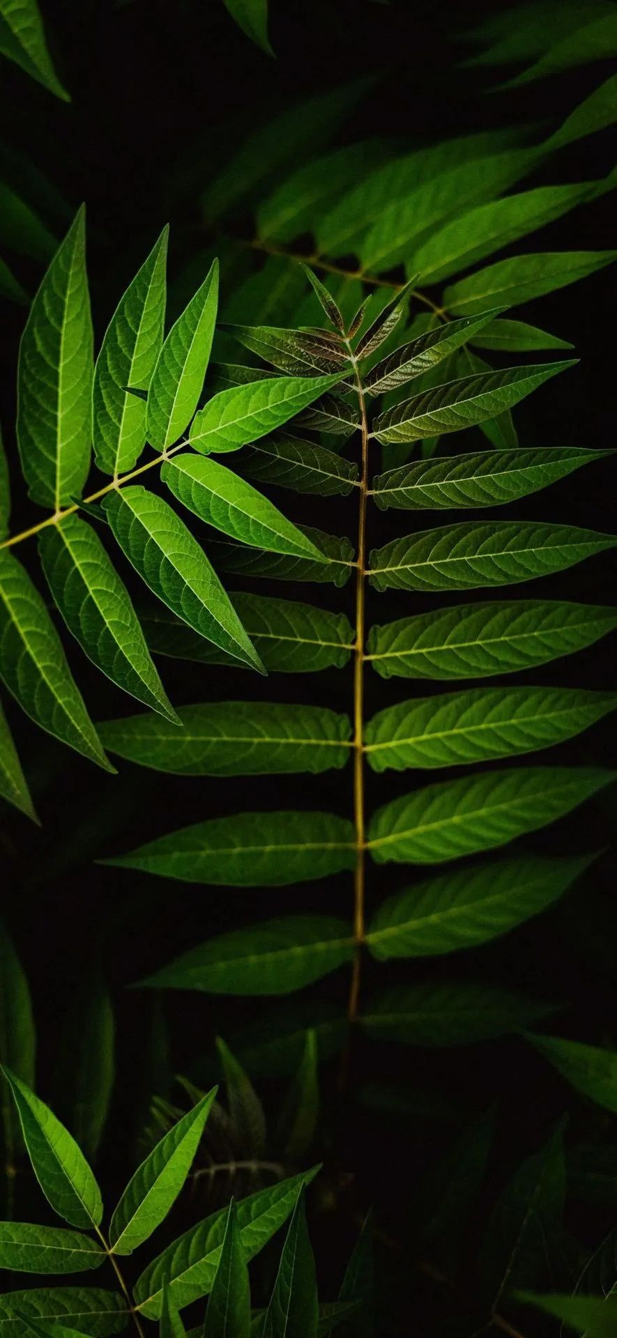 当前热门服务业_行业热门_ks上热门业务