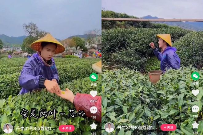 快手粉丝量怎么增加_如何增加快手粉丝量和播放量_快手粉丝量能赚钱吗