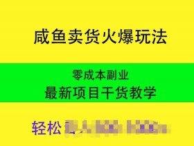 快手获赞一元一百_快手赞有用吗_赞赏快手