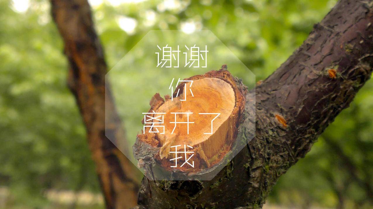 快手赞100只需要0.40毛_快手赞100只需要0.40毛_快手赞100只需要0.40毛