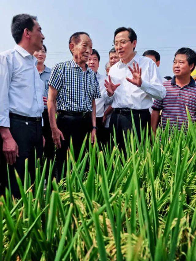 抖音号吸粉的速度标准_抖音号如何快速吸粉_抖音怎么能快速吸粉