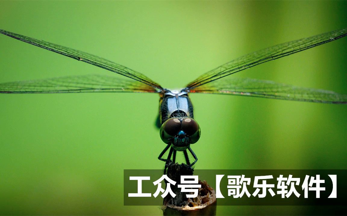 怎么提高粉丝量和播放量_怎么提高粉丝量和播放量_怎么提高粉丝量和播放量