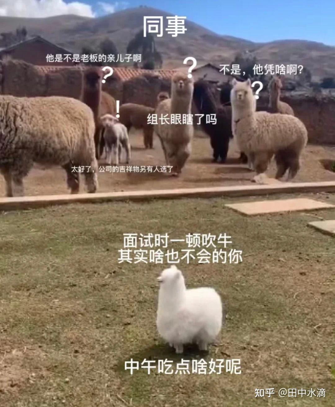 抖音里涨粉丝有钱赚吗_抖音涨粉丝有收入吗_抖音如何付费涨粉丝