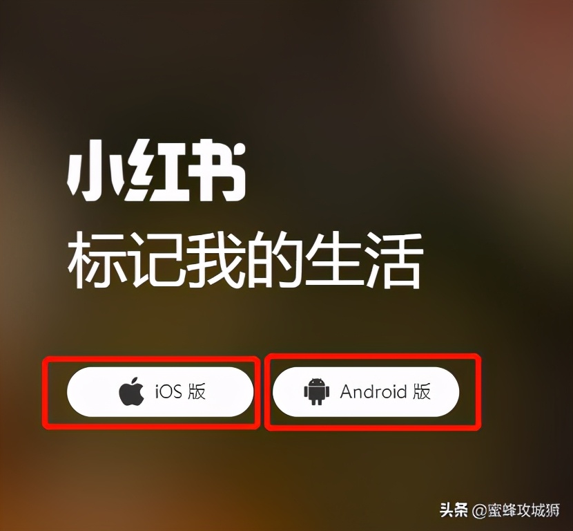 领取赞丝粉快手小时怎么领_领取赞丝粉快手小时多少钱_快手赞粉丝24小时领取