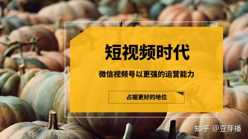 快手获得赞有钱吗_快手获赞一元一百_赞赏快手