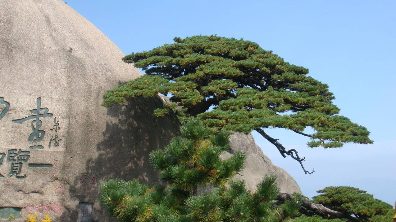 快手赞粉丝24小时领取_免费领取赞快手_每天免费领快手赞