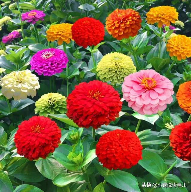一块钱涨一千粉_一块钱涨一千粉_一块钱涨一千粉
