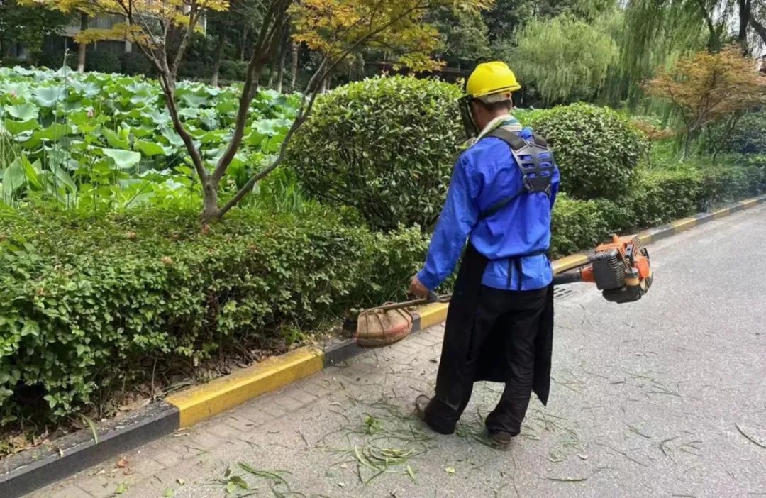 快手粉丝掉是什么原因_快手粉丝平台+永不掉粉_快手掉粉丝是官方在搞鬼吗