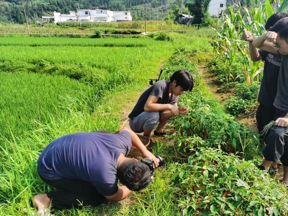 快手点赞自助平台有哪些_快手点赞自助平台有哪些_快手点赞自助平台有哪些