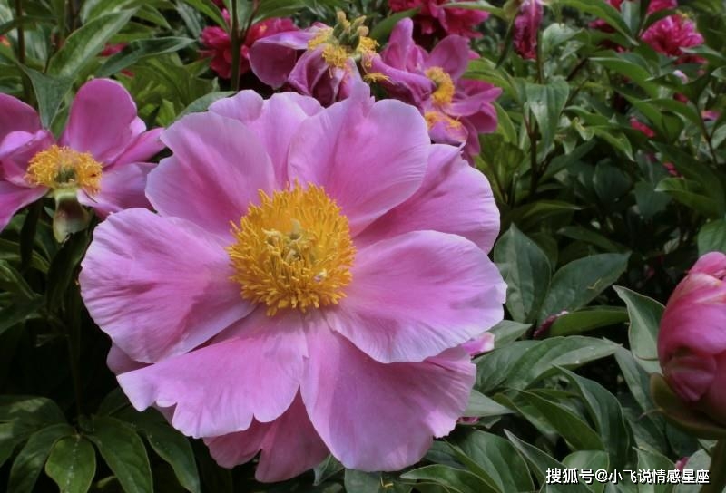 行业热门_ks上热门业务_当前热门服务业