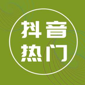 抖音涨粉丝有收入吗_抖音涨粉都是花钱吗_抖音如何付费涨粉丝