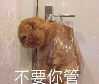快手粉丝平台+永不掉粉_粉丝掉快手平台怎么处理_快手掉粉丝是官方在搞鬼吗