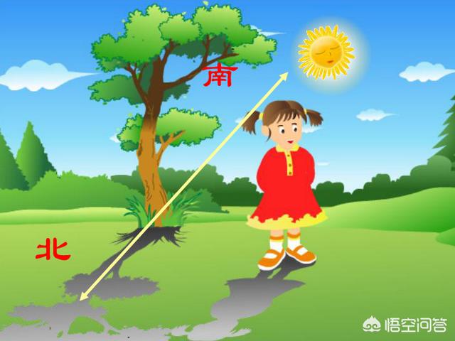 抖音怎么能快速吸粉_抖音号如何快速吸粉_抖音账号如何快速吸粉