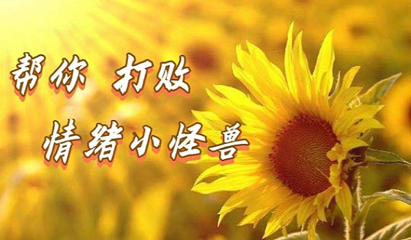 粉丝量少_粉丝量怎么增加_粉丝增长百分比怎么算