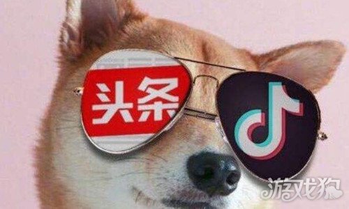 抖音丝粉量增加怎么回事_抖音增加粉丝量有啥作用_抖音粉丝量怎么增加