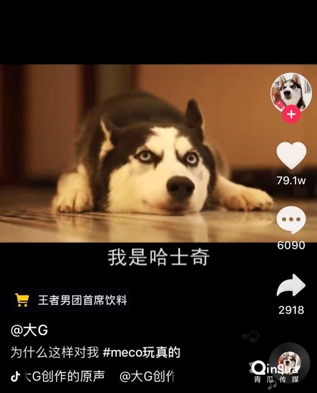抖音怎么能快速吸粉_抖音号如何快速吸粉_抖音账号如何快速吸粉