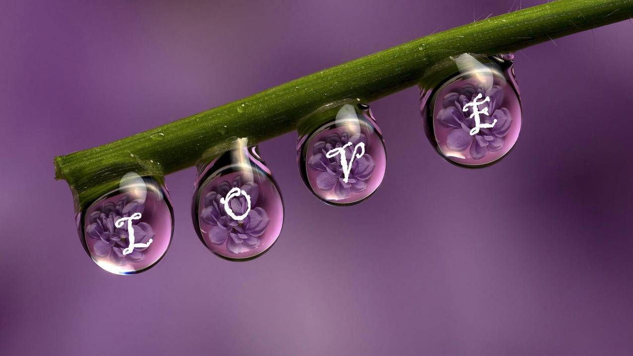 快手自助业务全网最低_快手业务低价自助平台超低价_低价自助快手业务平台官网
