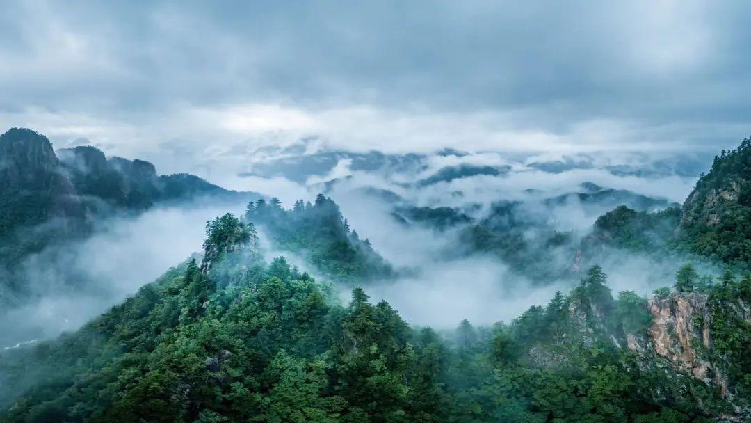 红网是什么东西_红网集团_网红商城1元1000