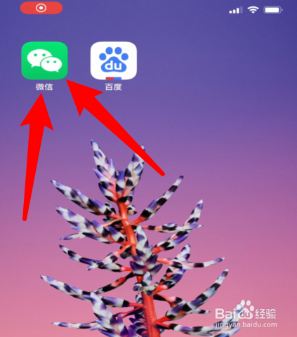 快手好友头像为什么看不到_快手里点对方头像他会知道吗_快手双击对方头像拍一拍朋友能看到吗