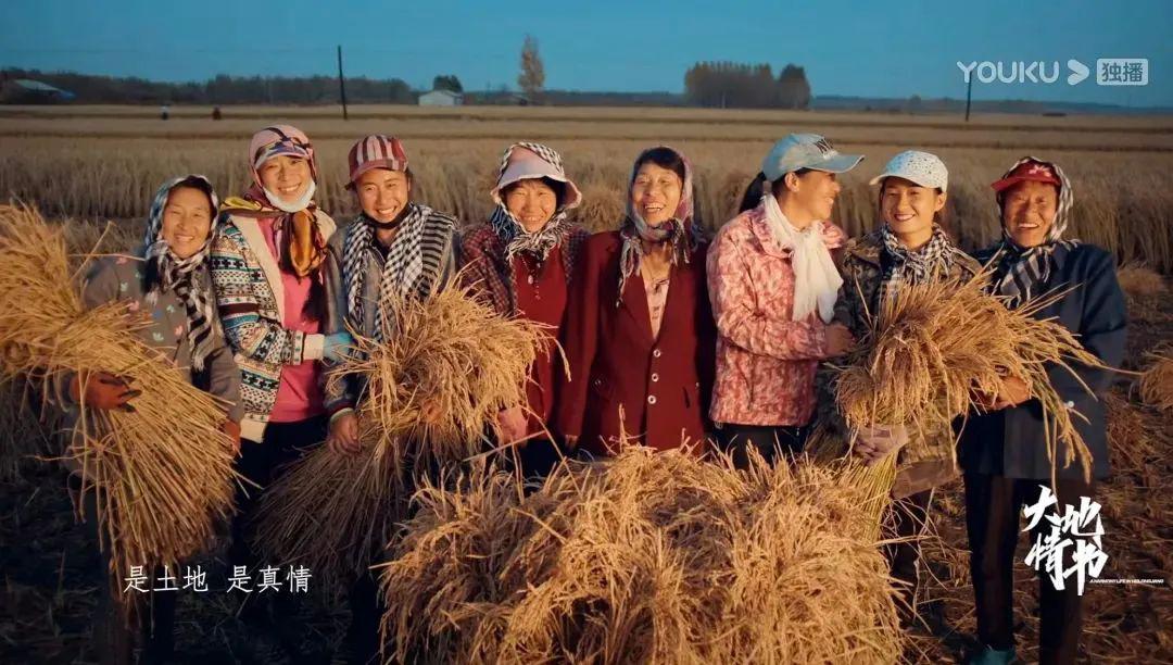 快手买东西平台怎么收费_快手24小时购买平台_快手业务购买