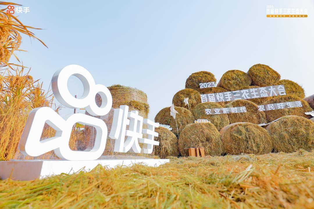快手一块钱100个_快手钱包里的钱可以买东西吗_快手钱包里的钱怎么提现呢