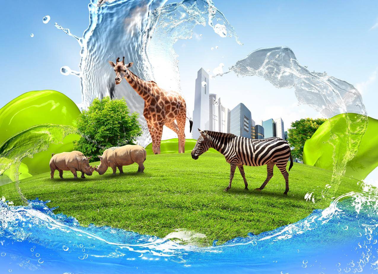 粉丝小助手_网红助手粉丝_粉丝助手小程序