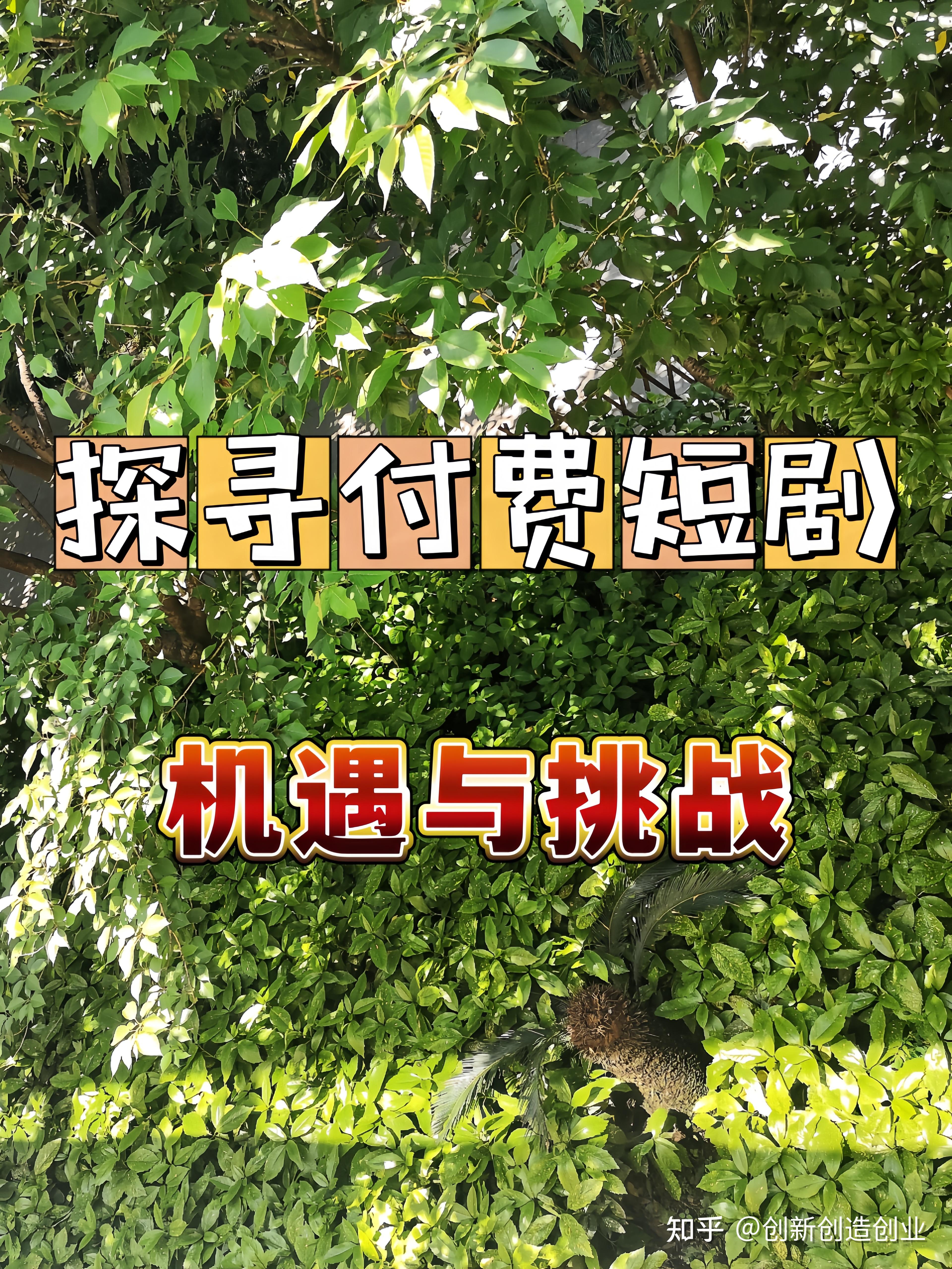 qq刷svip永久网站免费_刷qq名片赞网站免费_qq刷名片永久免费网站 免封号