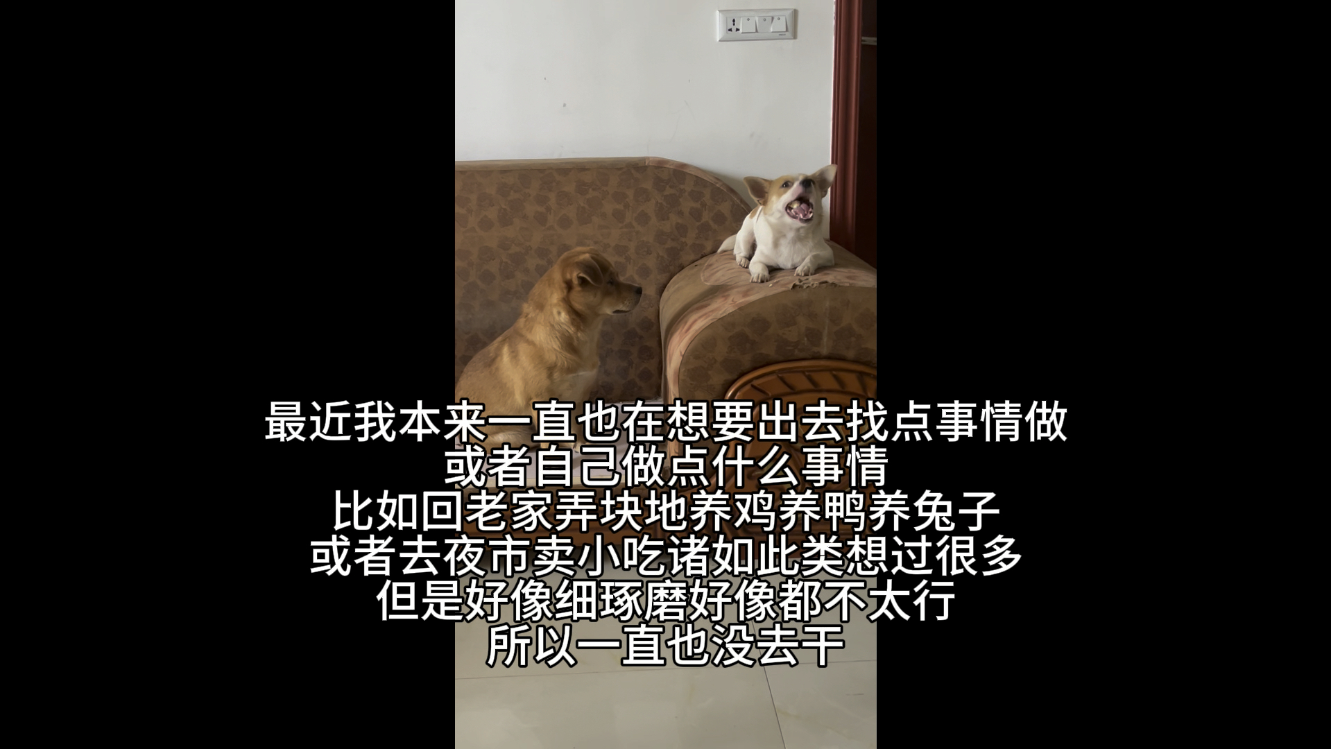 抖音涨流量_涨流量app抖音_抖音涨流量什么意思