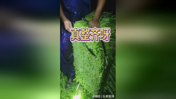 快手真人粉和普通粉有什么区别_快音专用真人粉丝_抖音快手真人粉