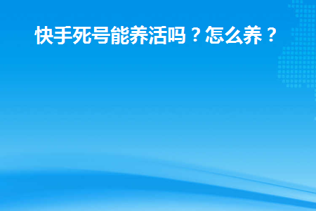 快手买流量价格_快手买热度会被限流吗_快手购买热度