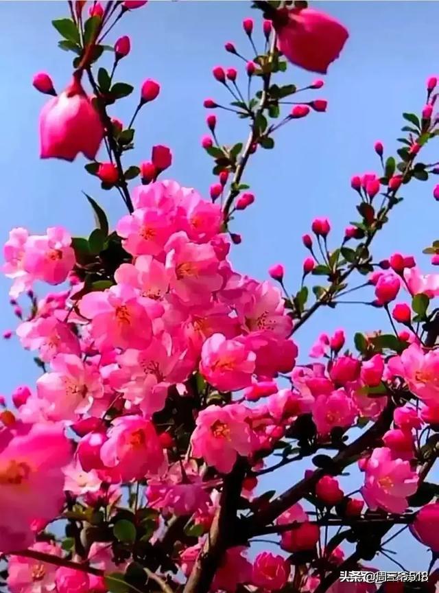 抖音点赞免费24小时在线_抖音点赞免费24小时在线_抖音点赞免费24小时在线