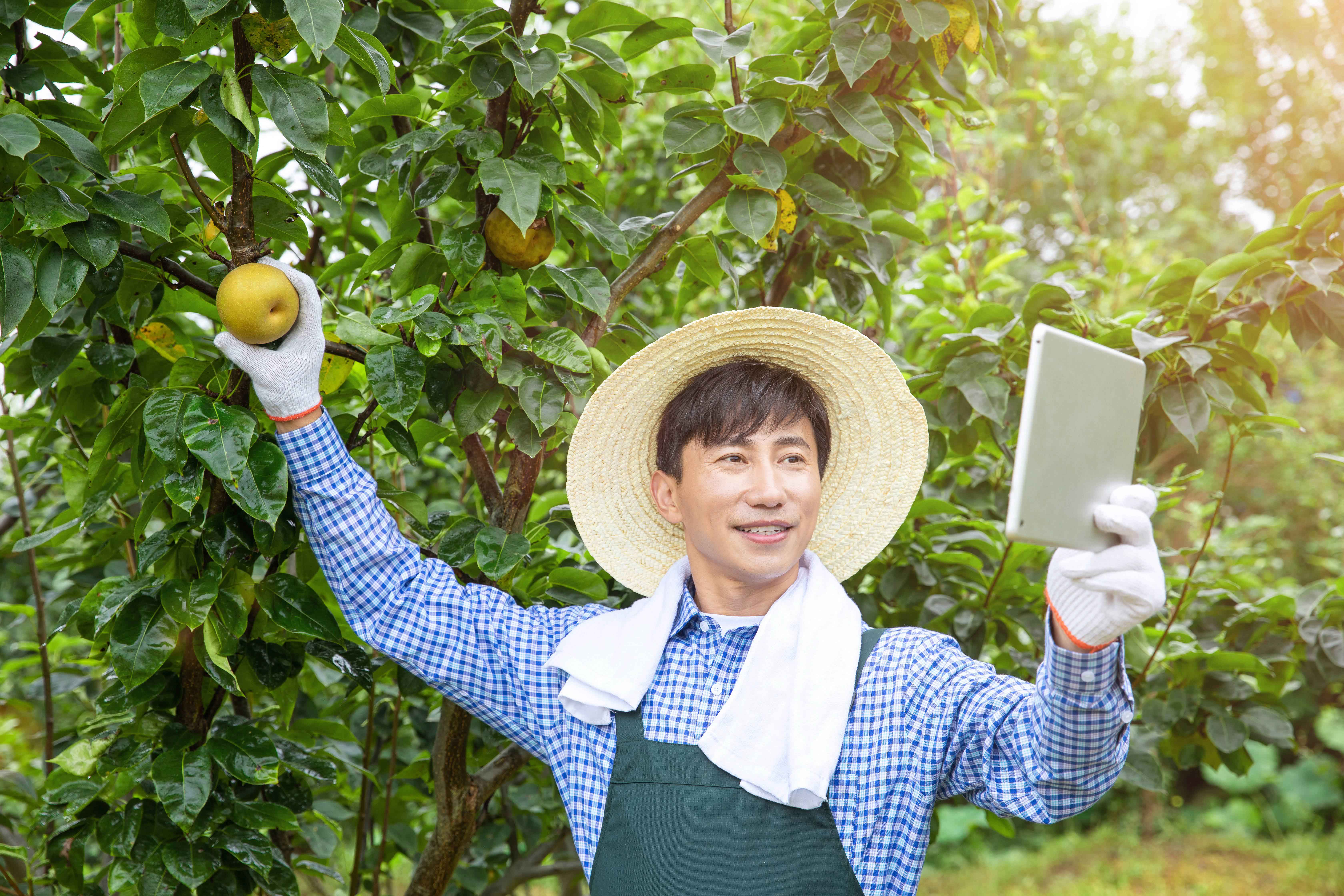 快手24小时自助免费下单软件_快手24小时自助免费下单软件_快手24小时自助免费下单软件