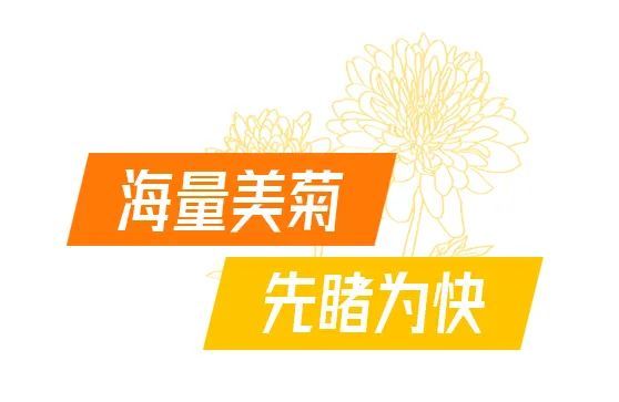 抖音点赞自助平台24小时_抖音点赞自助平台24小时_抖音点赞自助平台24小时