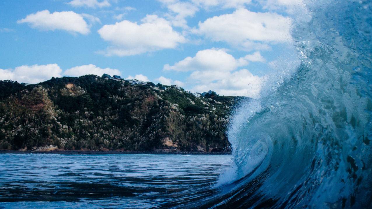 超低价货源自助下单_ks业务自助下单软件最低价_自助下单全网最低价