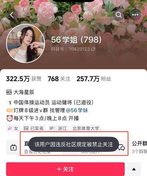 抖音粉丝秒到账_抖音粉丝如何快速涨到1000_抖音粉丝到达数量怎么赚钱