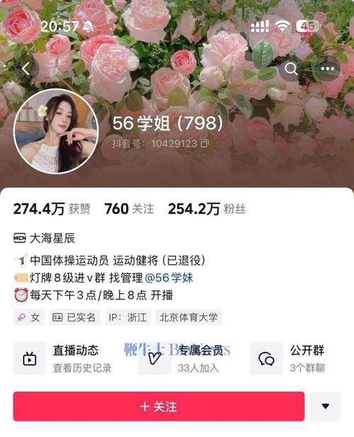 抖音下单是什么意思_抖音24小时在线下单平台免费_抖音下单工具