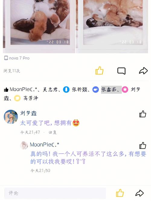快手作品点赞自助1元100赞_快手作品点赞自助1元100赞_快手作品点赞自助1元100赞