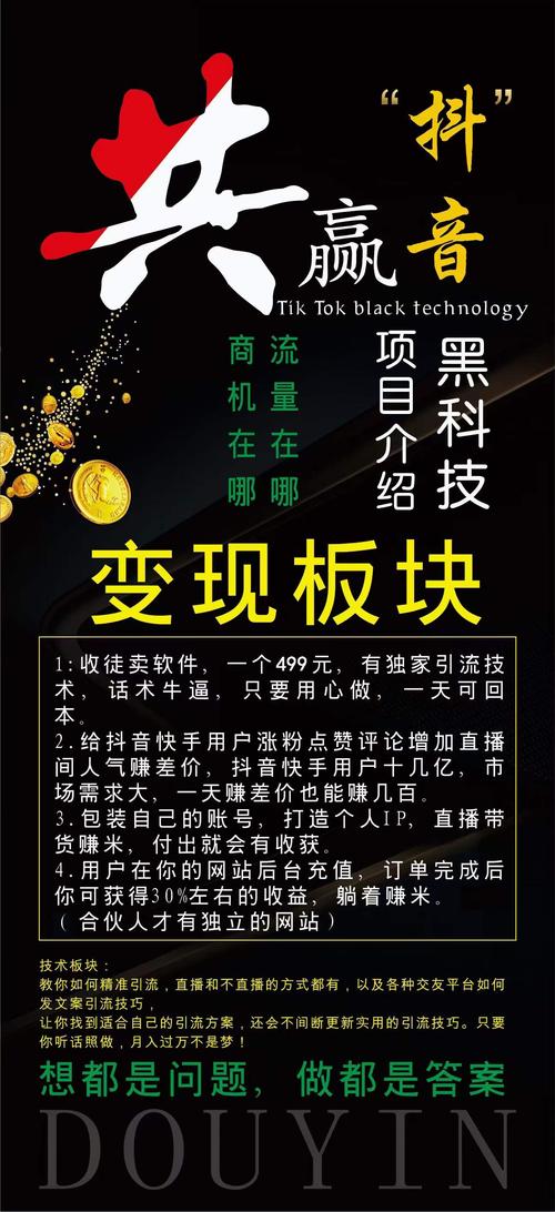 粉丝抖音_抖音粉丝下单链接秒到账_抖音粉丝接口