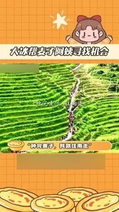 快手买热度_快手买热门的后果_快手花钱买热度