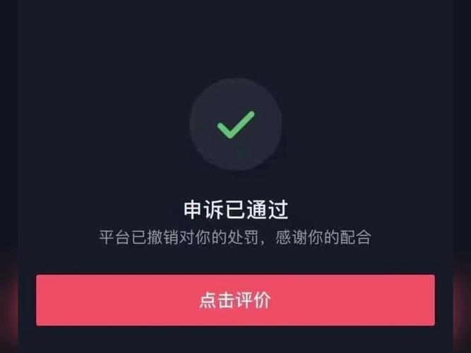 抖音粉丝到达数量怎么赚钱_抖音粉丝如何快速涨到1000_抖音粉丝秒到账