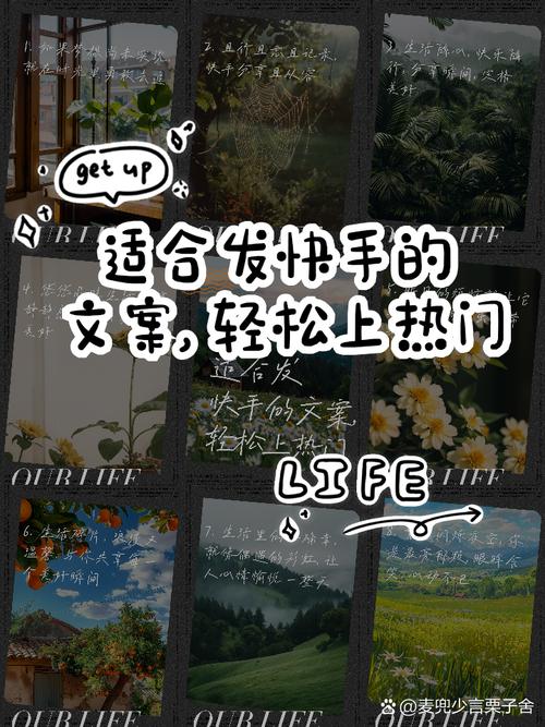 快手买热门_快手买热门怎么买划算_快手买热门有效果吗